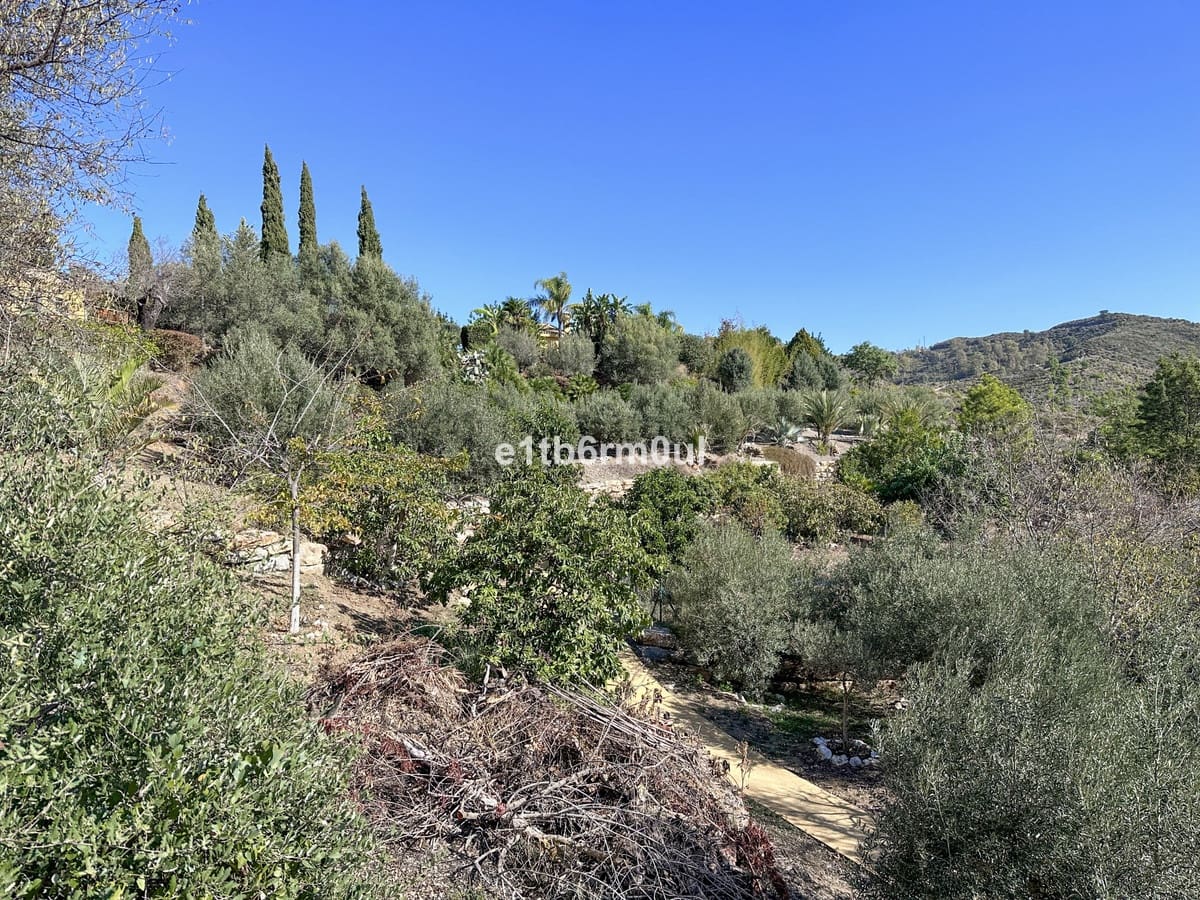 5 sypialnia Finka/Dom wiejski na sprzedaż w Ojen z basenem - 1 600 000 € (Ref: 9705116)