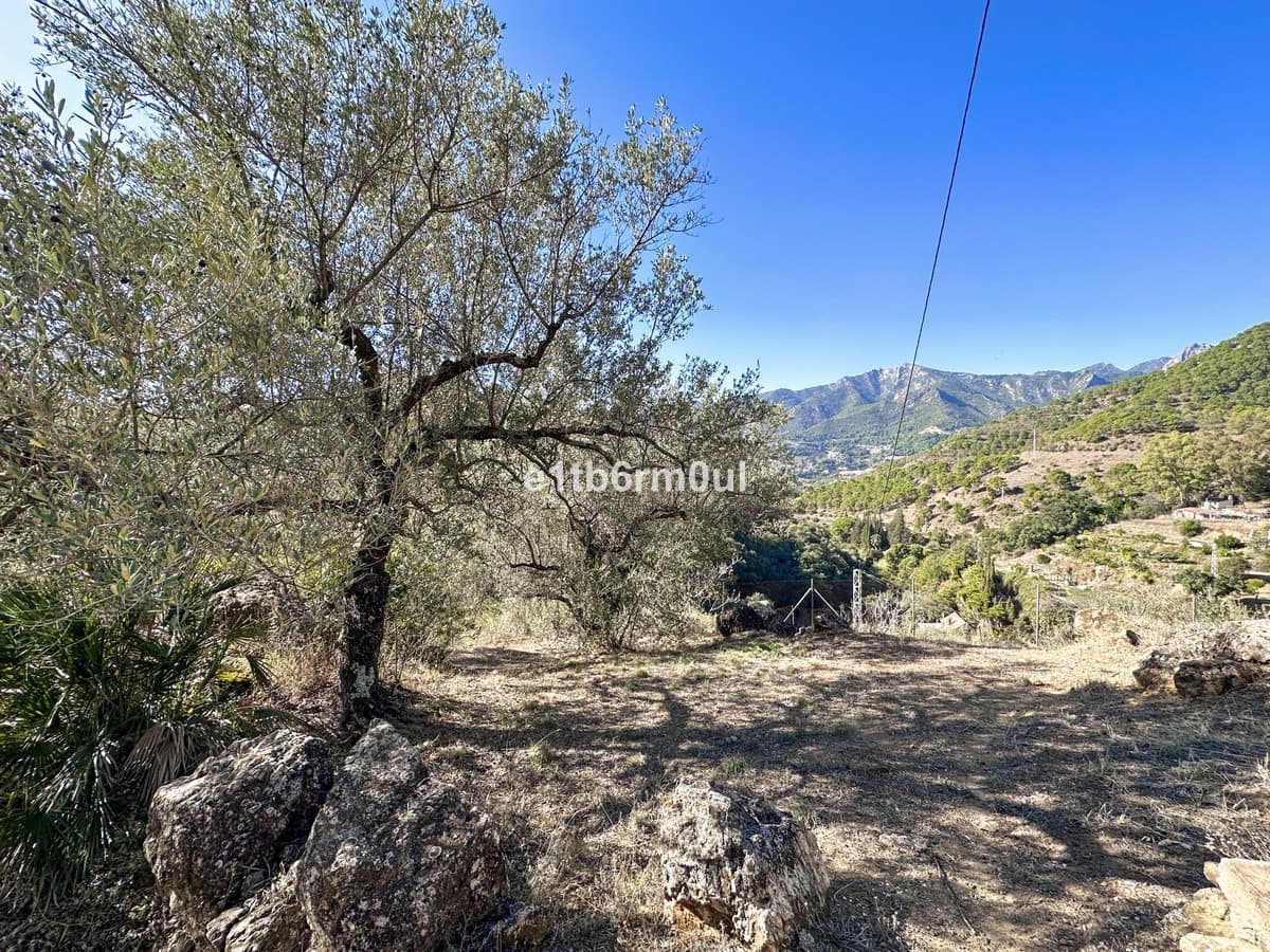 5 sypialnia Finka/Dom wiejski na sprzedaż w Ojen z basenem - 1 600 000 € (Ref: 9705116)