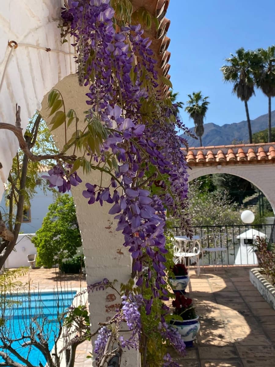 4 soveværelse Villa til salg i Estepona med swimmingpool - € 1.370.000 (Ref: 9823276)