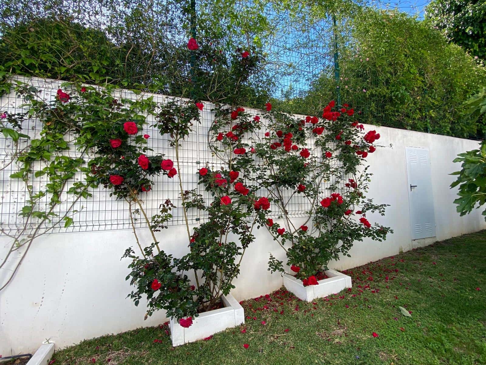 4 soveværelse Villa til salg i Estepona med swimmingpool - € 1.370.000 (Ref: 9823276)
