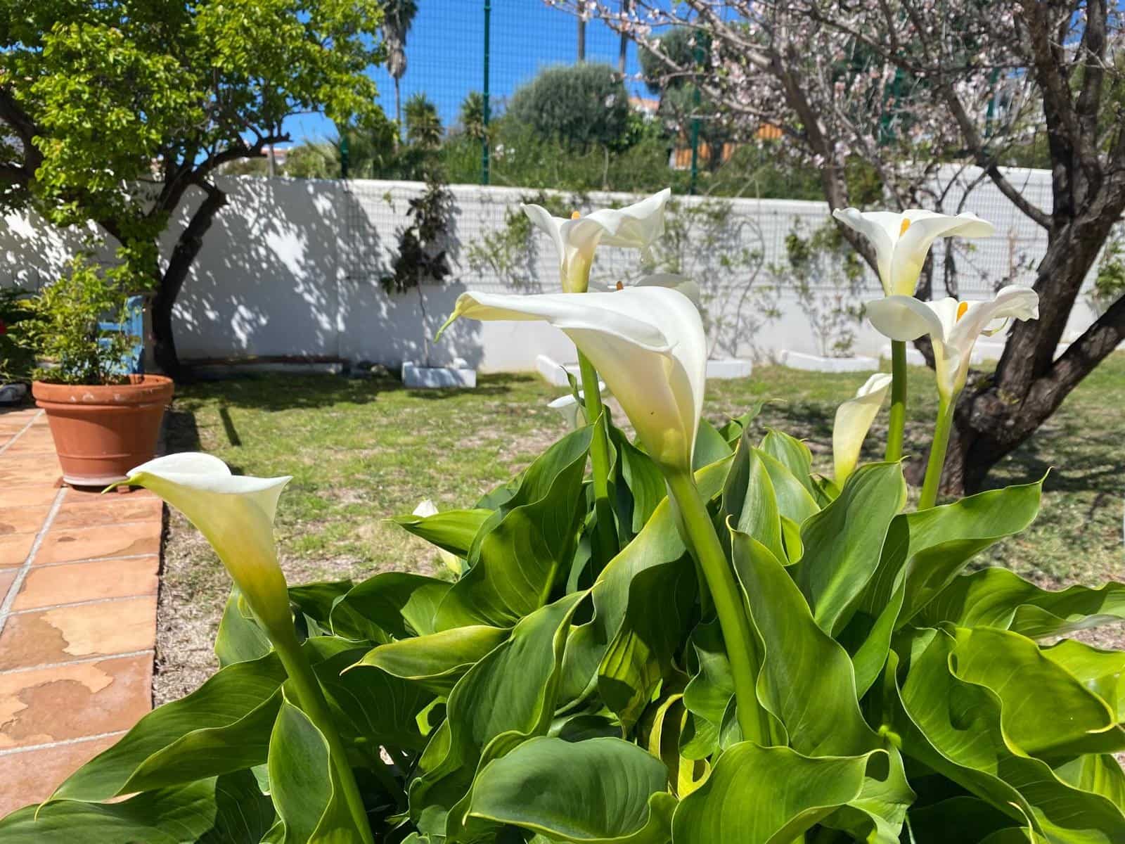 4 soveværelse Villa til salg i Estepona med swimmingpool - € 1.370.000 (Ref: 9823276)