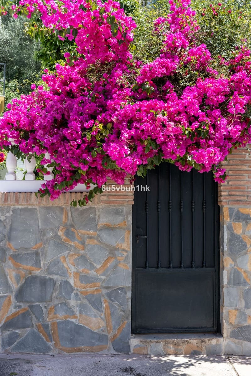 5 bedroom Townhouse for sale in San Pedro de Alcantara - € 695,000 (Ref: 9823314)