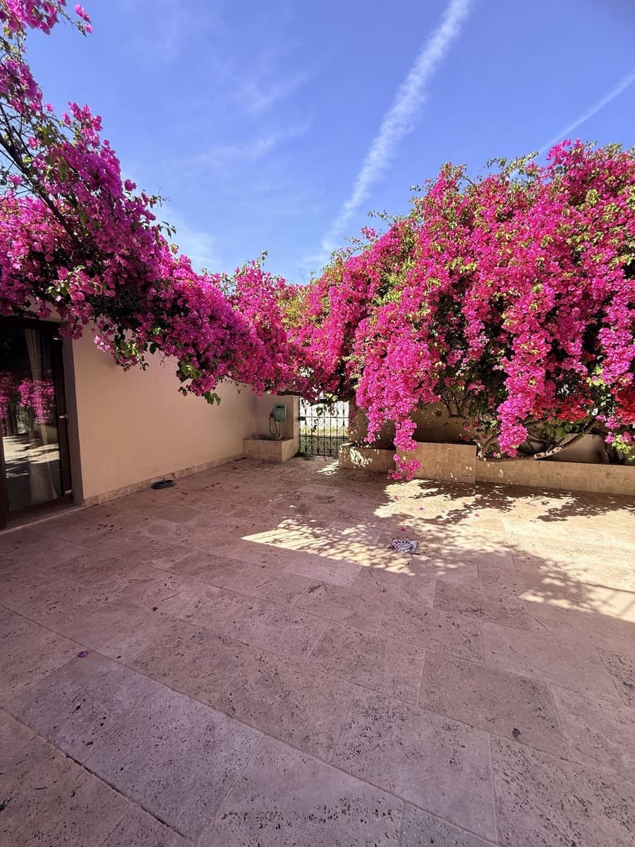 3 Zimmer Villa zu verkaufen in Bel-Air mit Pool Garage - 1.200.000 € (Ref: 9823324)