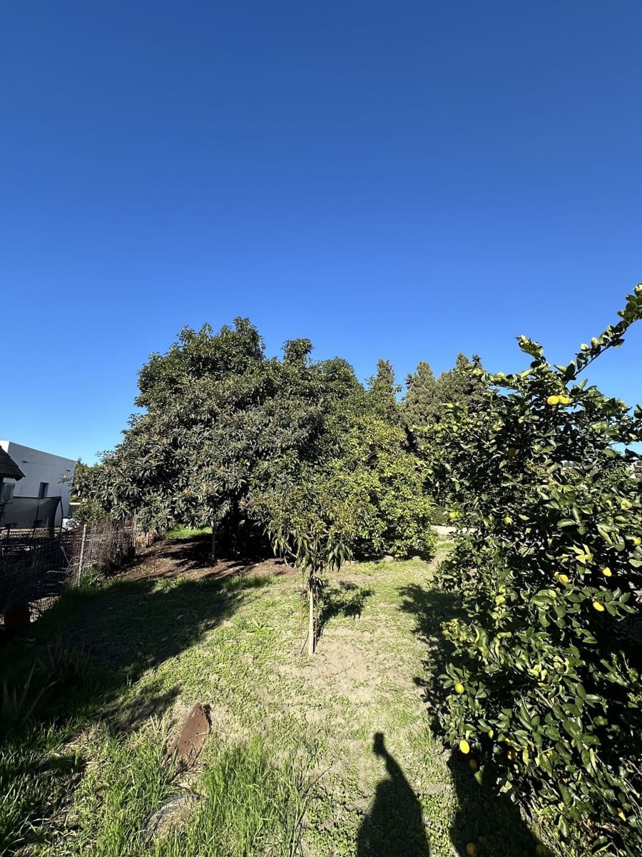 3 quarto Moradia para venda em San Pedro de Alcantara com piscina - 630 000 € (Ref: 9823446)
