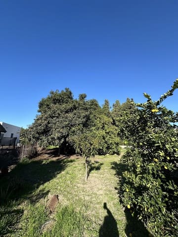 3 quarto Moradia para venda em San Pedro de Alcántara Pueblo, Marbella com piscina - 630 000 € (Ref: 9823446)