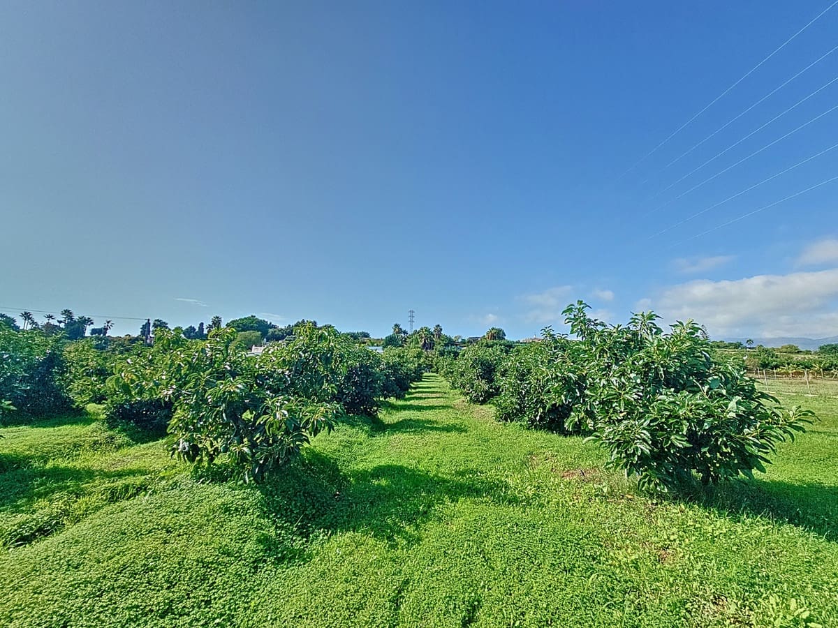 3 soverom Finca/Herregård til salgs i El Padron - € 490 000 (Ref: 9823472)