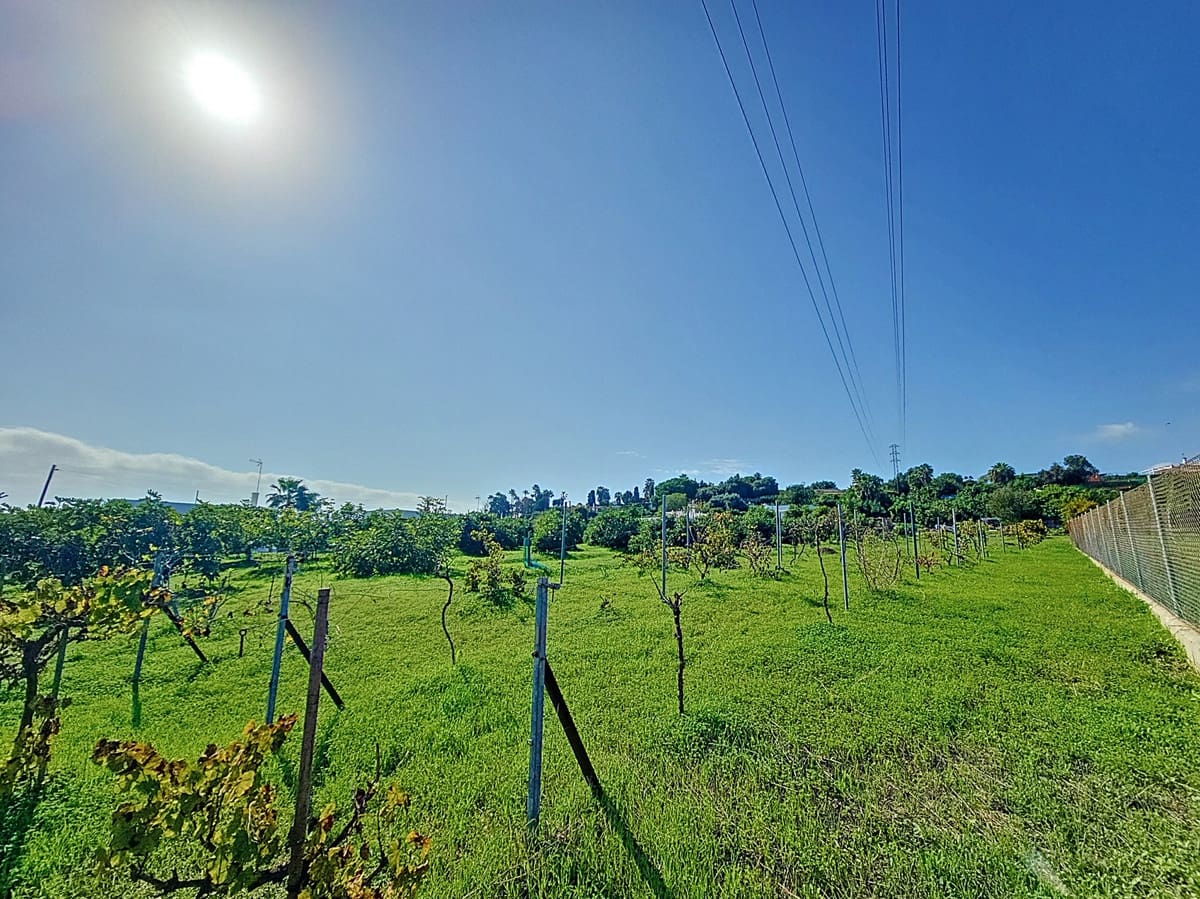 3 soverom Finca/Herregård til salgs i El Padron - € 490 000 (Ref: 9823472)