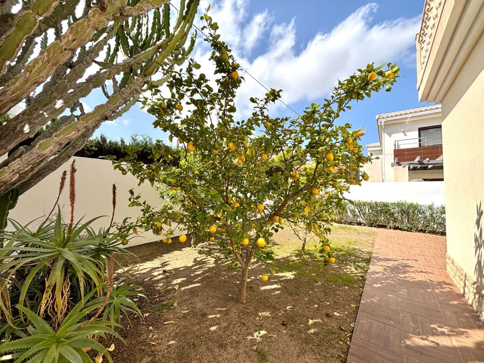 4 bedroom Villa for sale in Cabo Roig with pool - € 910,000 (Ref: 10043380)