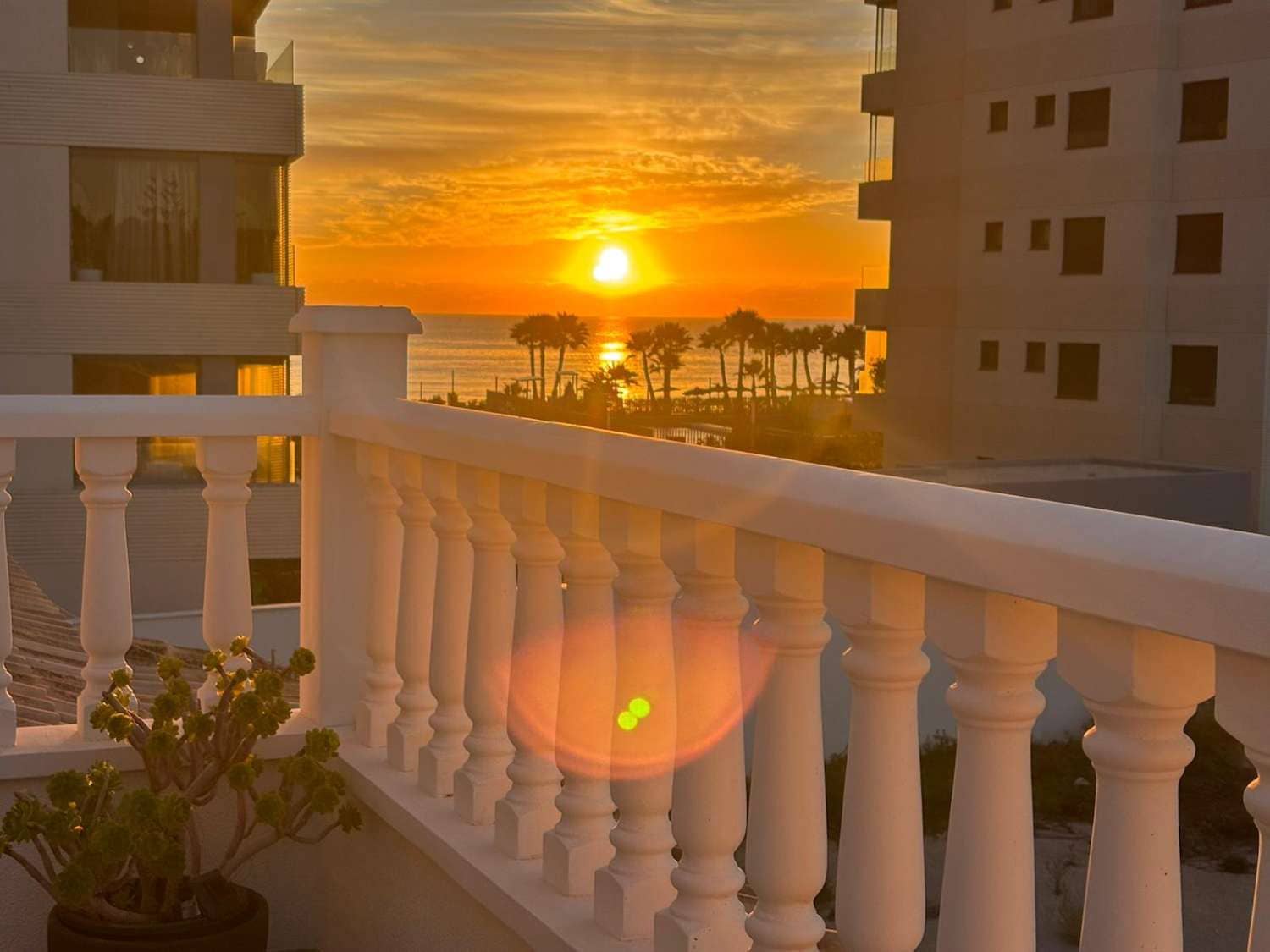 3 bedroom Villa for sale in Orihuela with pool garage - € 695,000 (Ref: 9722339)