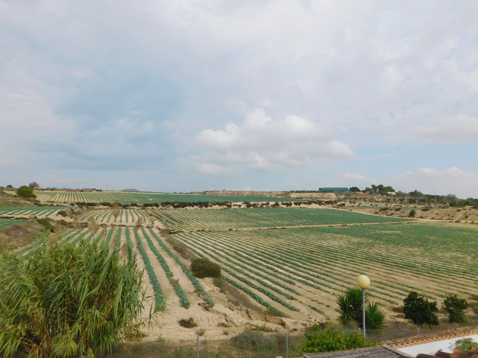 3 sypialnia Willa na sprzedaż w San Miguel de Salinas z basenem garażem - 270 000 € (Ref: 9722460)