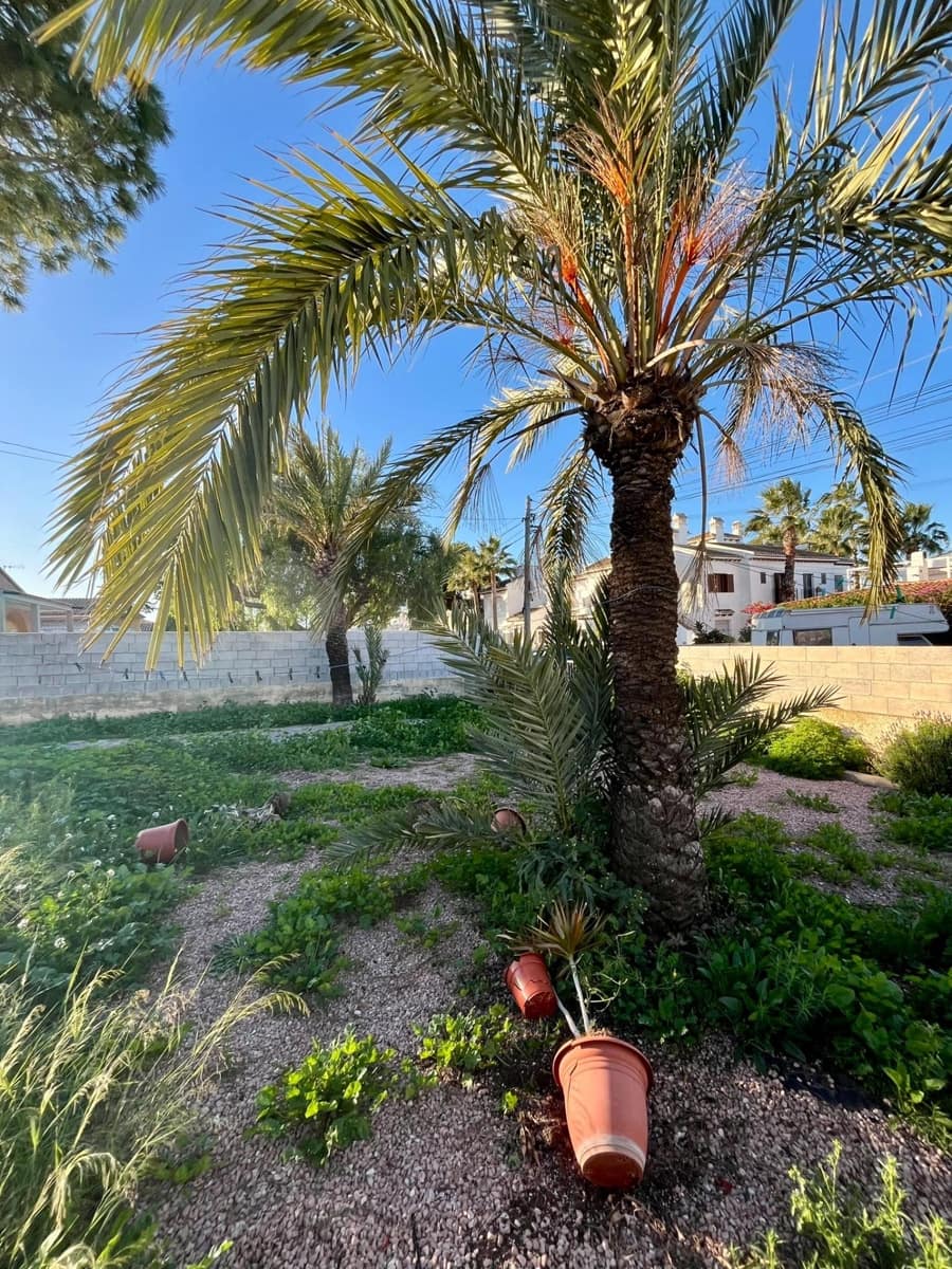 Chalet de 3 habitaciones en Torrevieja en venta - 299.000 € (Ref: 9722464)