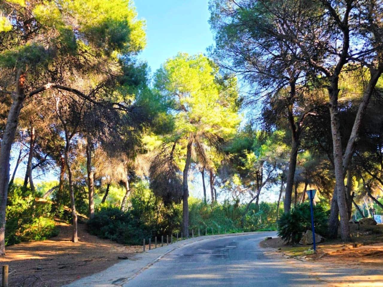 Chalet de 5 habitaciones en Campoamor en venta con piscina garaje - 739.900 € (Ref: 9797776)