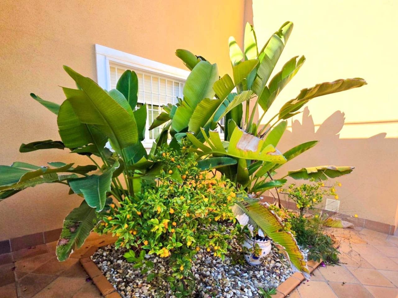 Chalet de 5 habitaciones en Campoamor en venta con piscina garaje - 739.900 € (Ref: 9797776)