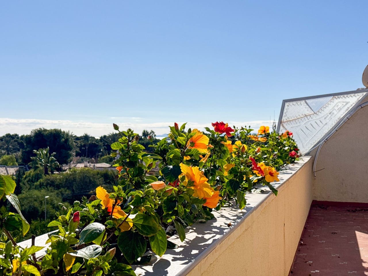 2 quarto Apartamento para venda em Torrevieja - 247 000 € (Ref: 9797872)