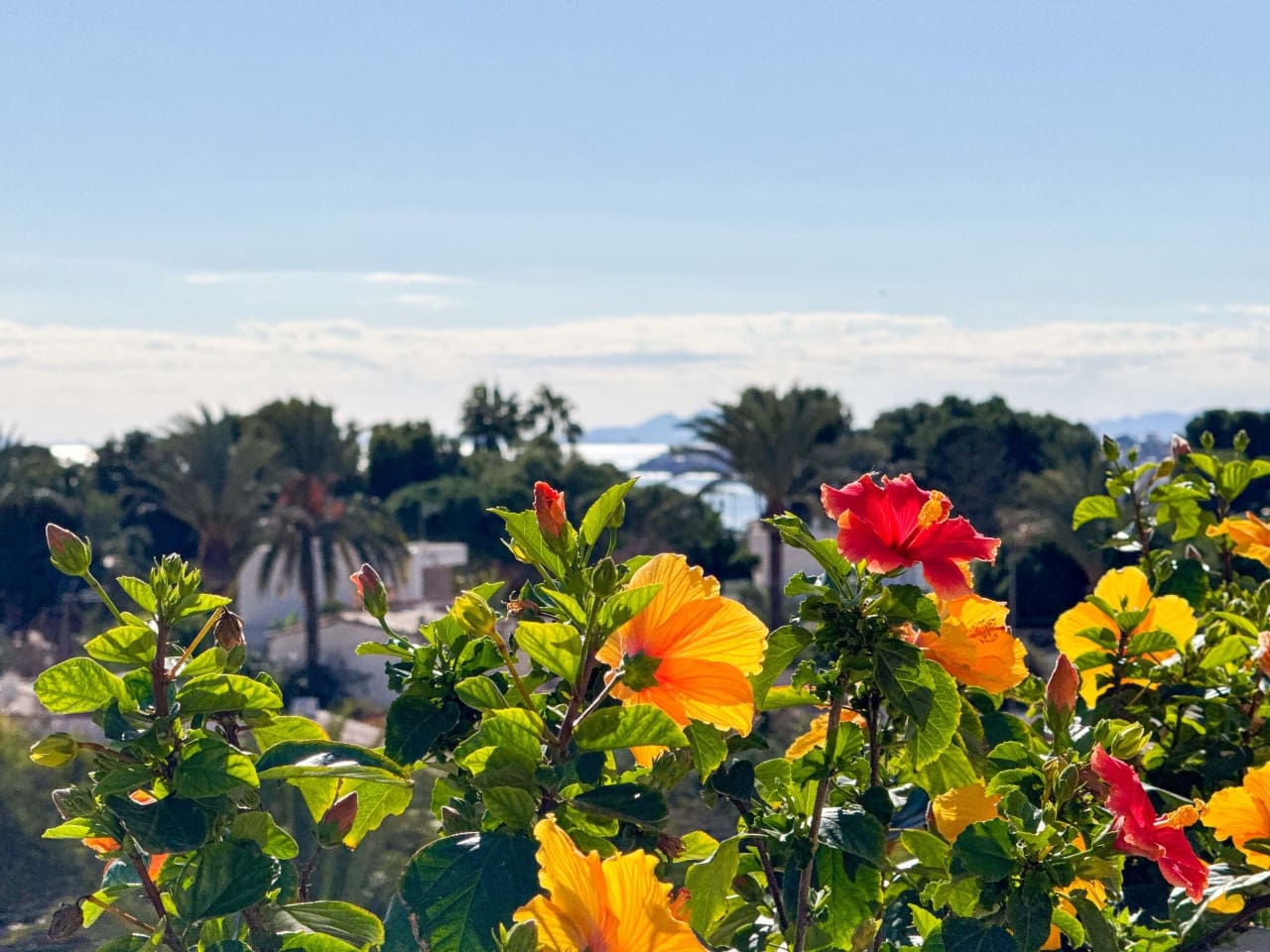 2 quarto Apartamento para venda em Torrevieja - 247 000 € (Ref: 9797872)