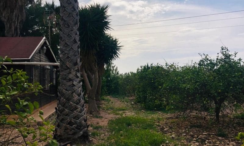 6 chambre Finca/Maison de Campagne à vendre à Orihuela - 450 000 € (Ref: 9797930)