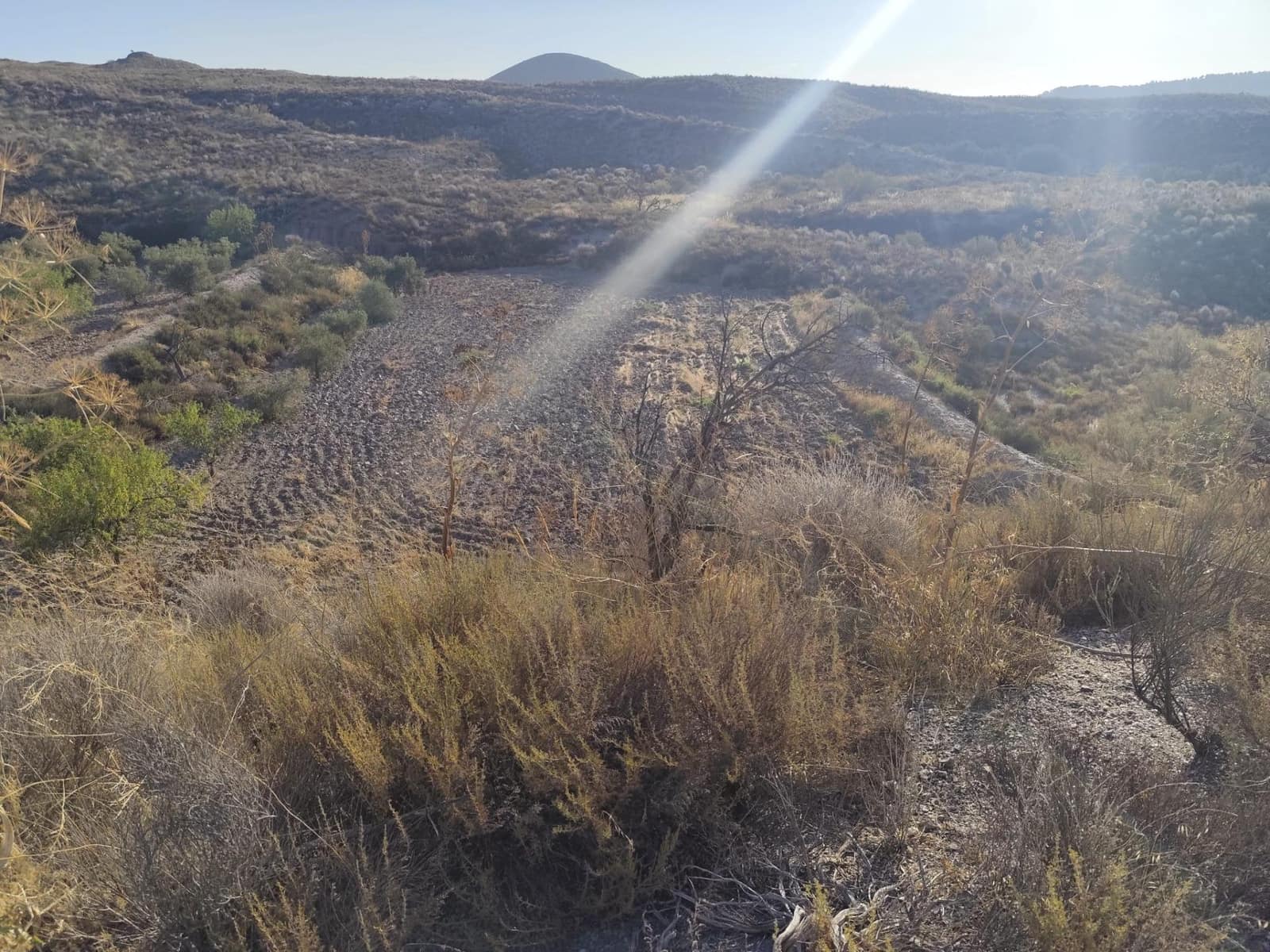 Undeveloped Land for sale in Lorca - € 15,230 (Ref: 10011651)