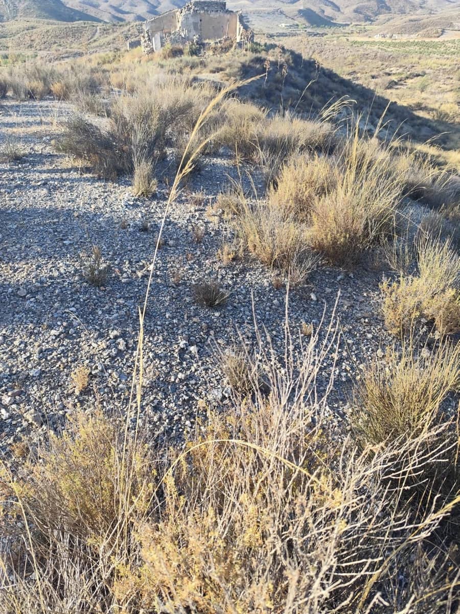 Undeveloped Land for sale in Lorca - € 15,230 (Ref: 10011651)