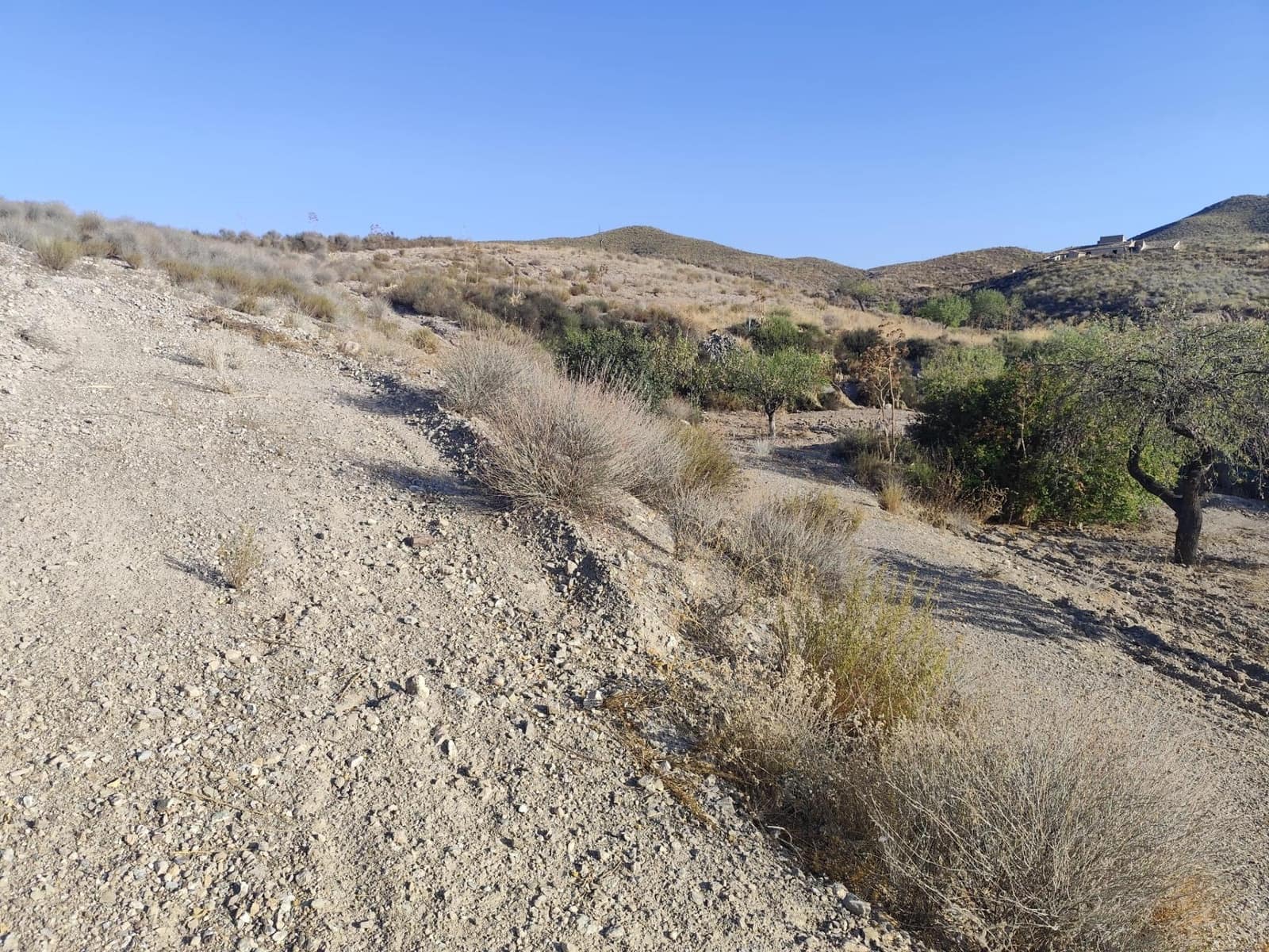 Undeveloped Land for sale in Lorca - € 15,230 (Ref: 10011651)