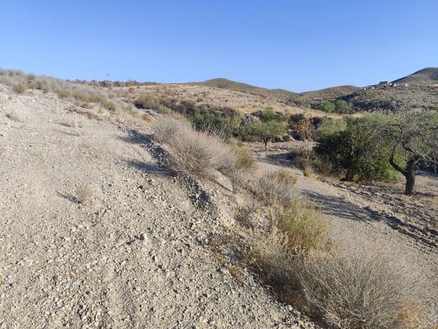 Undeveloped Land for sale in Lorca - € 15,230 (Ref: 10011651)