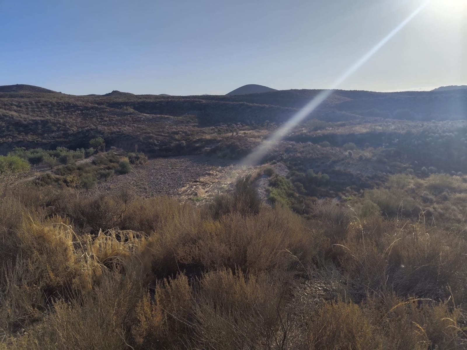 Undeveloped Land for sale in Lorca - € 15,230 (Ref: 10011651)