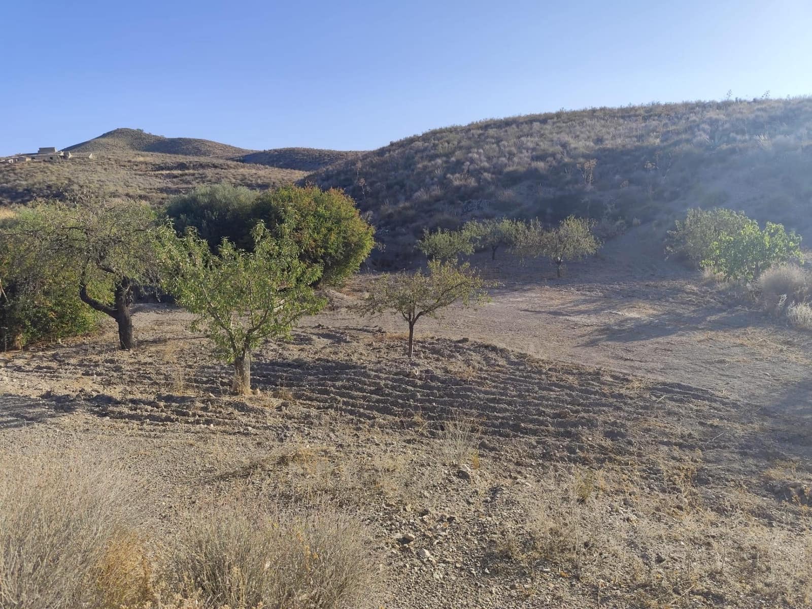 Undeveloped Land for sale in Lorca - € 15,230 (Ref: 10011651)
