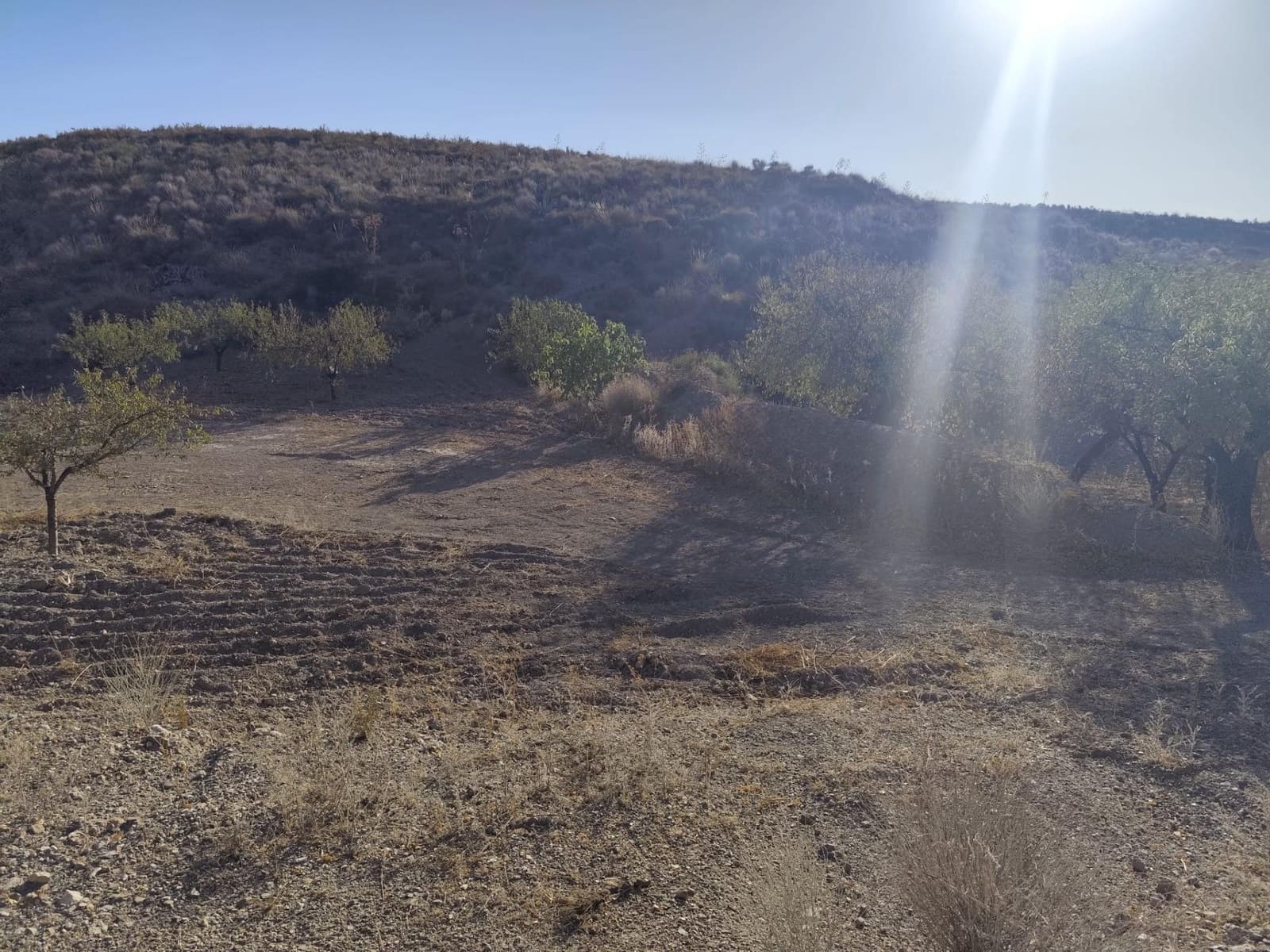 Undeveloped Land for sale in Lorca - € 15,230 (Ref: 10011651)