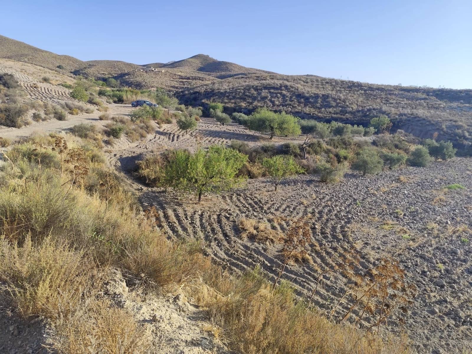 Undeveloped Land for sale in Lorca - € 15,230 (Ref: 10011651)