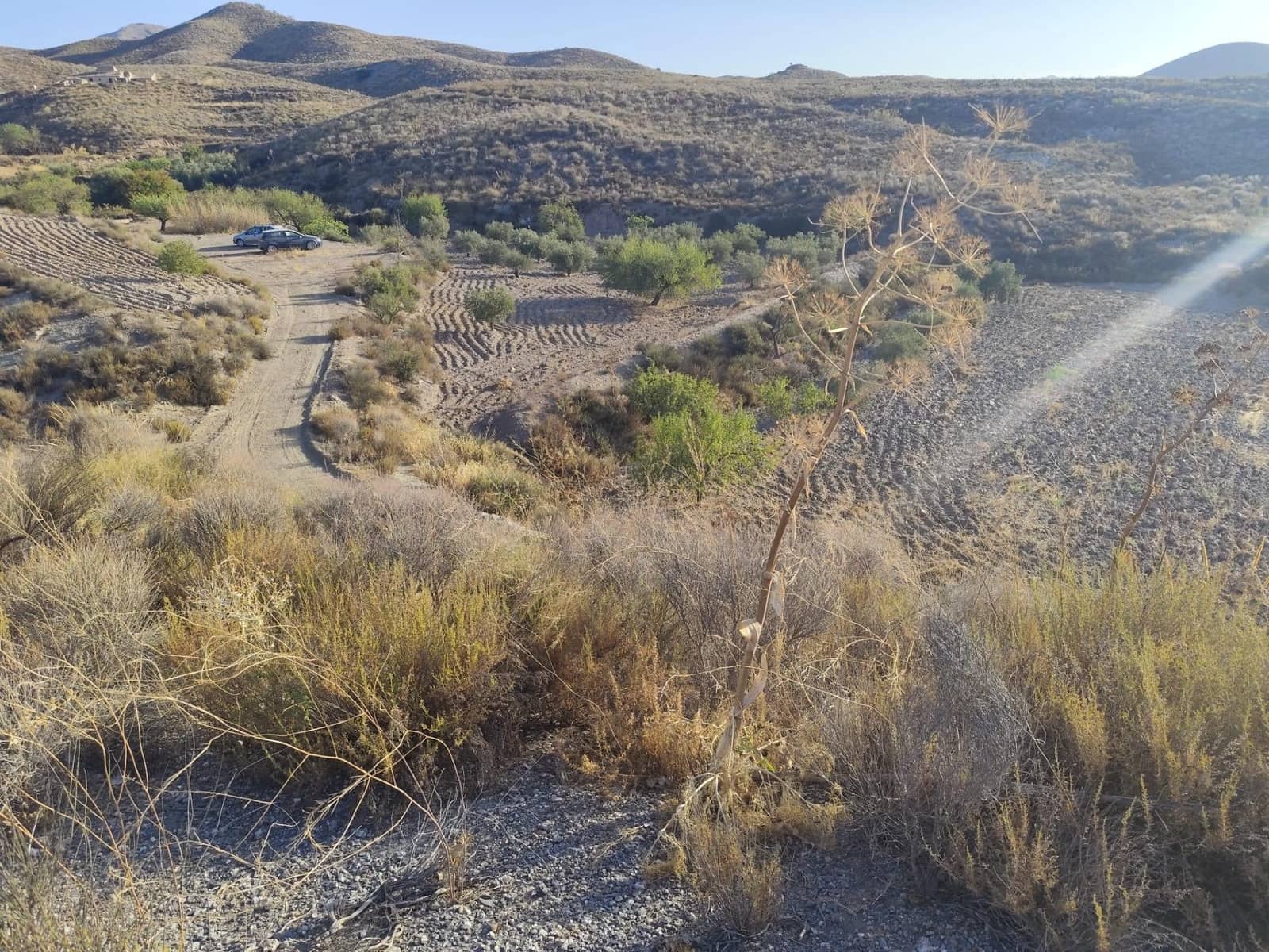 Undeveloped Land for sale in Lorca - € 15,230 (Ref: 10011651)