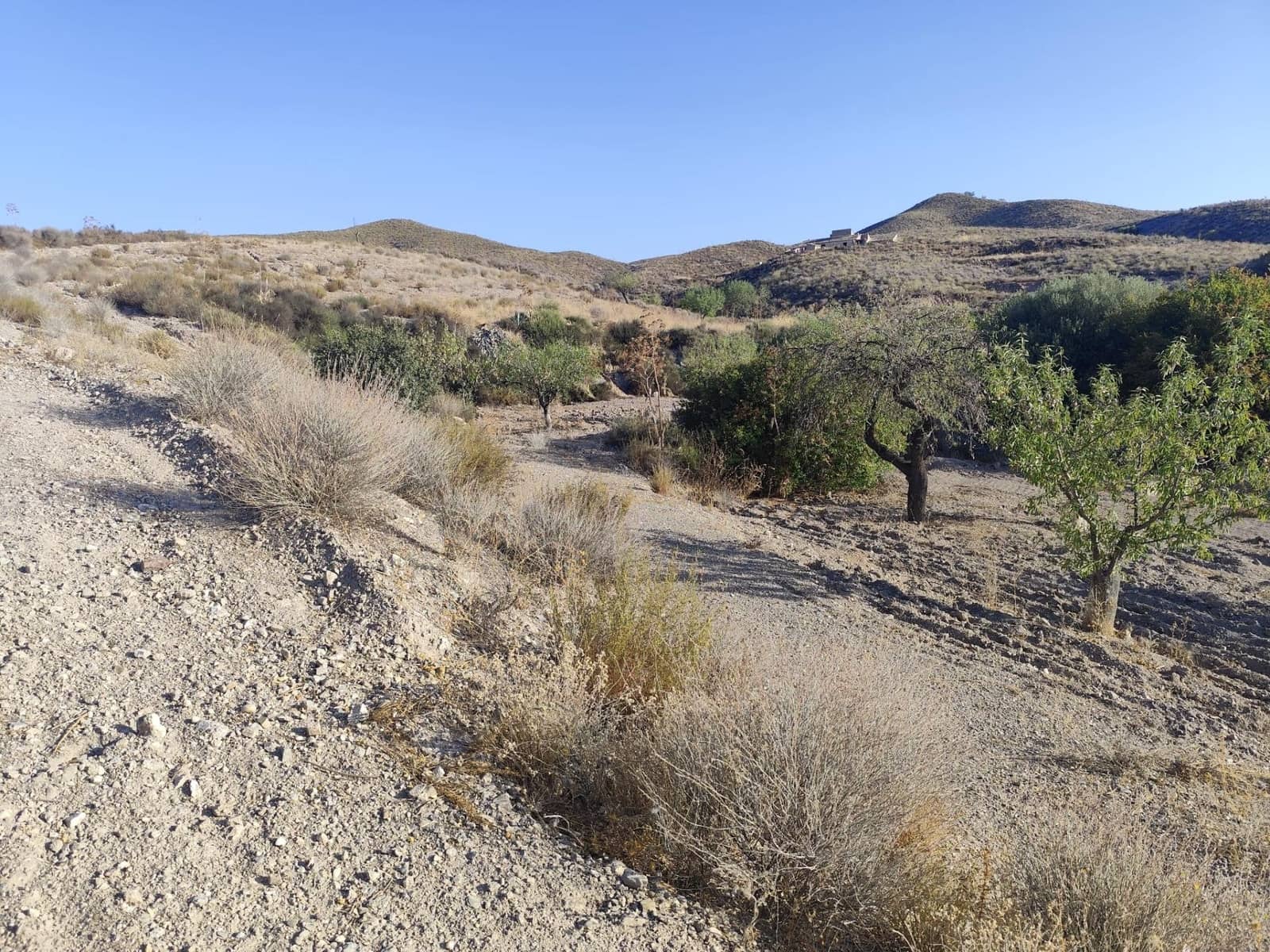 Undeveloped Land for sale in Lorca - € 15,230 (Ref: 10011651)