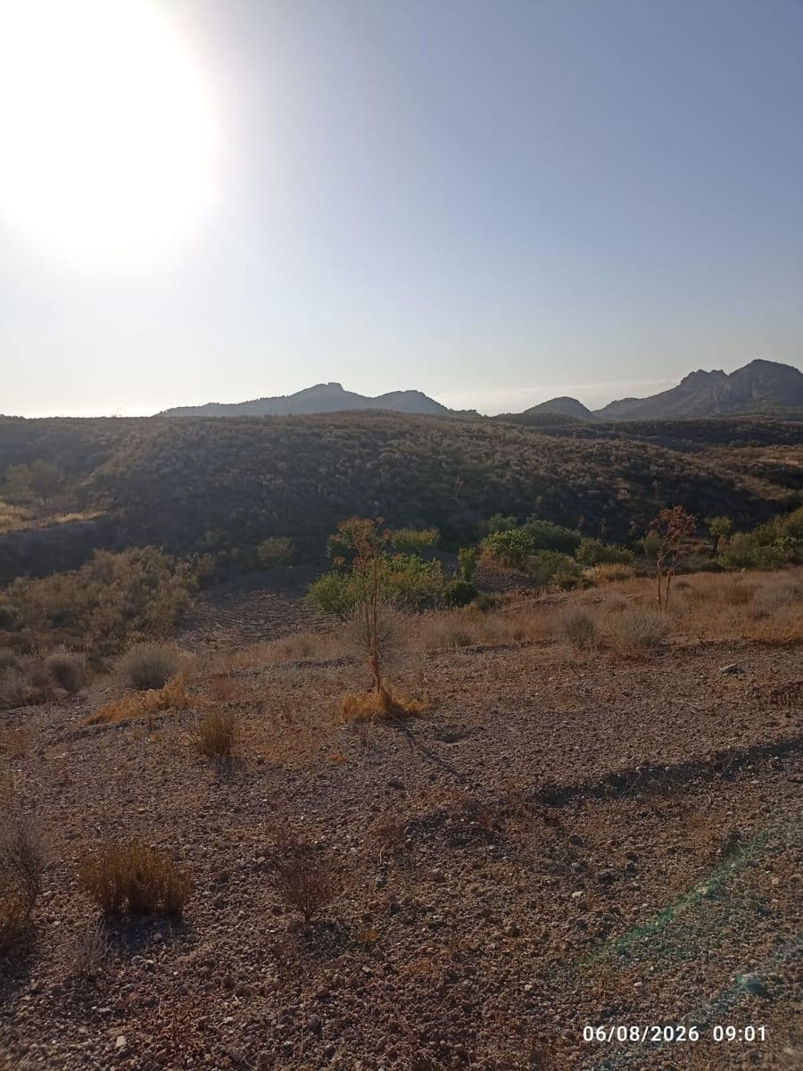 Undeveloped Land for sale in Lorca - € 15,230 (Ref: 10011651)