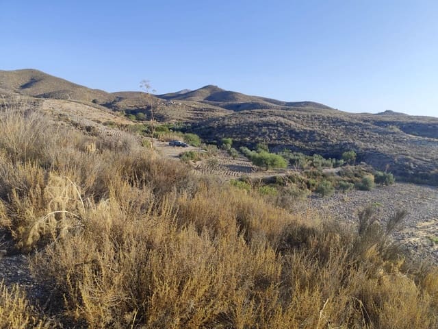 Undeveloped Land for sale in Lorca - € 15,230 (Ref: 10011651)