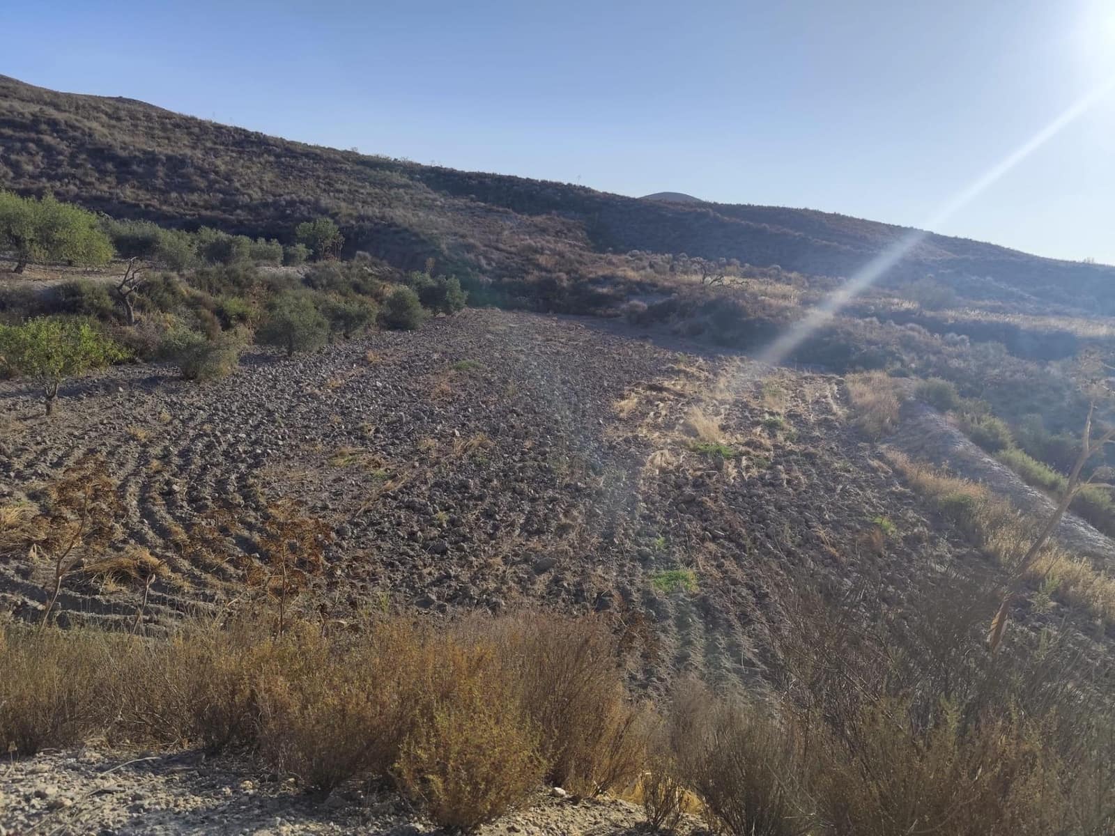 Undeveloped Land for sale in Lorca - € 15,230 (Ref: 10011651)
