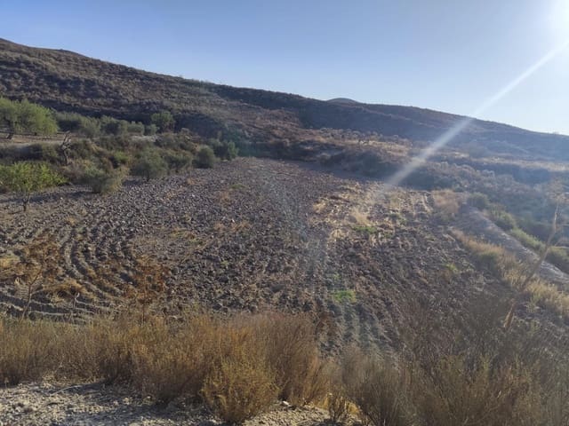 Undeveloped Land for sale in Lorca - € 15,230 (Ref: 10011651)
