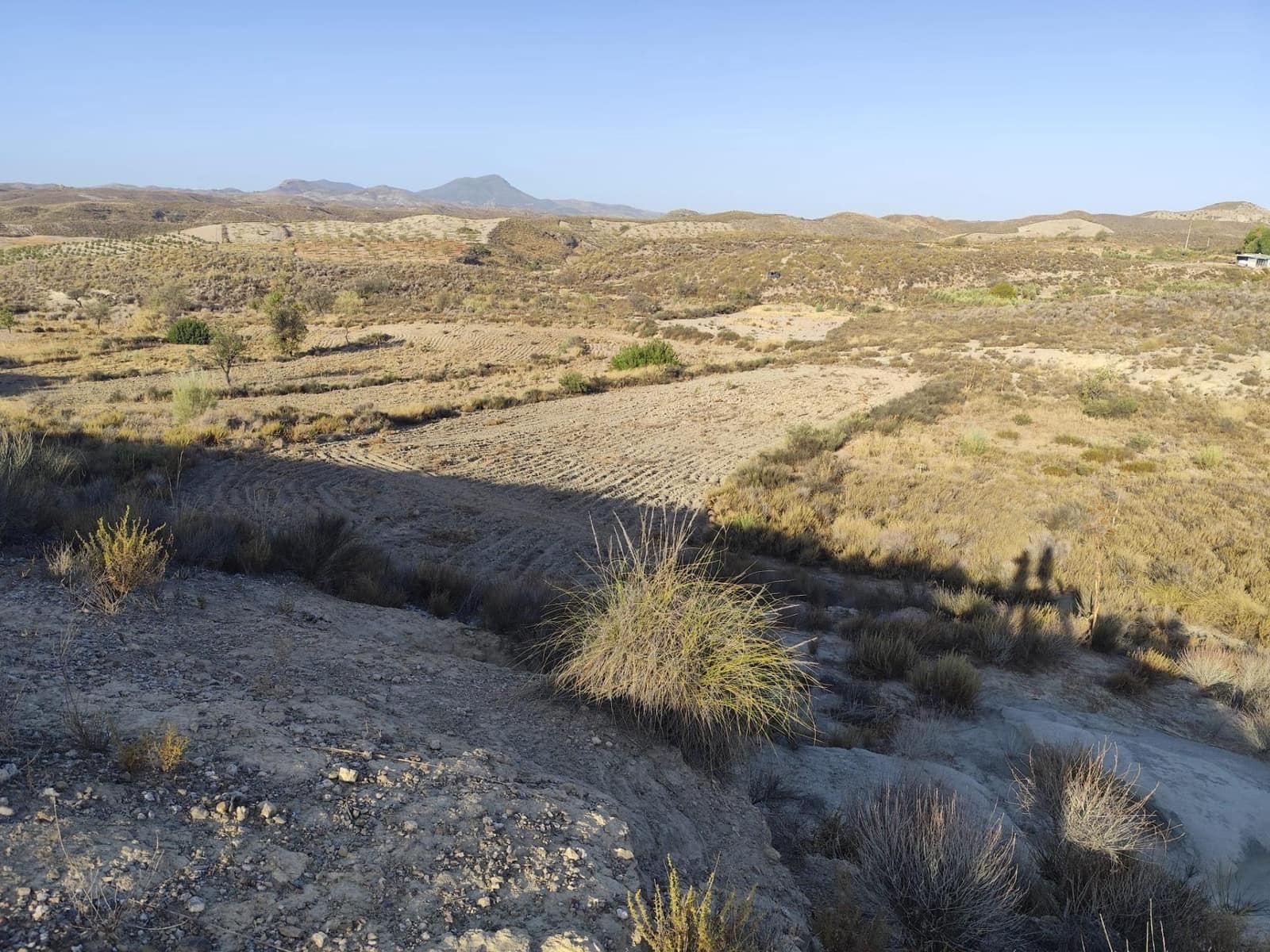 Undeveloped Land for sale in Lorca - € 15,230 (Ref: 10011651)