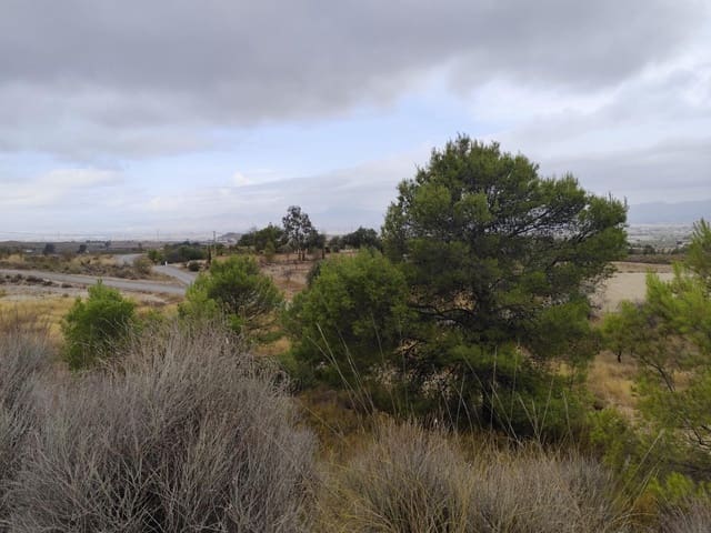 Terreno Não Urbanizado para venda em Aguaderas, Lorca - 39 000 € (Ref: 10089654)