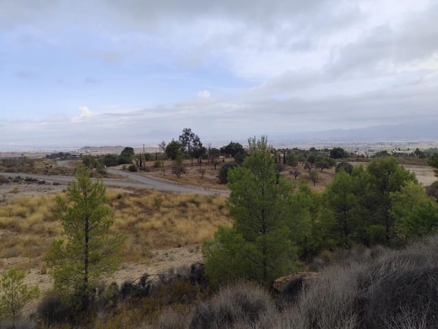 Terreno Não Urbanizado para venda em Aguaderas, Lorca - 39 000 € (Ref: 10089654)