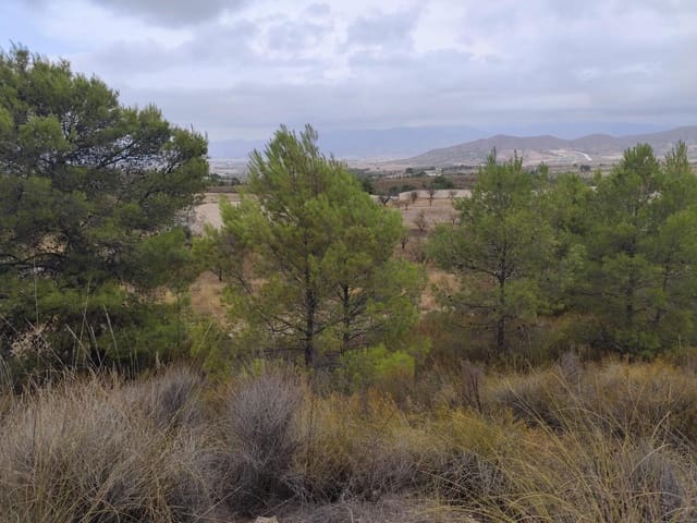 Terreno Não Urbanizado para venda em Aguaderas, Lorca - 39 000 € (Ref: 10089654)