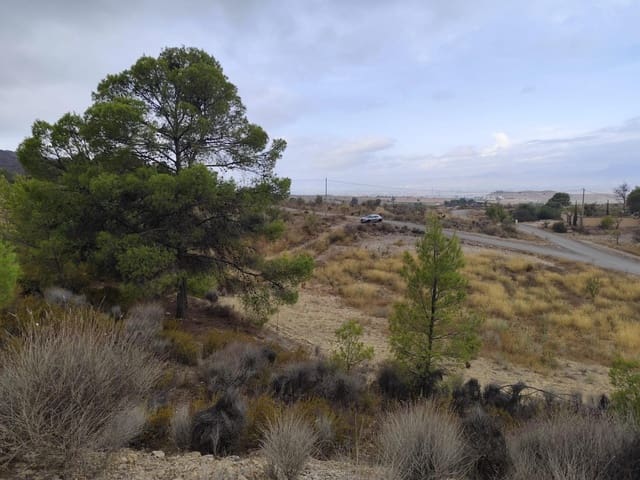 Terreno Não Urbanizado para venda em Aguaderas, Lorca - 39 000 € (Ref: 10089654)