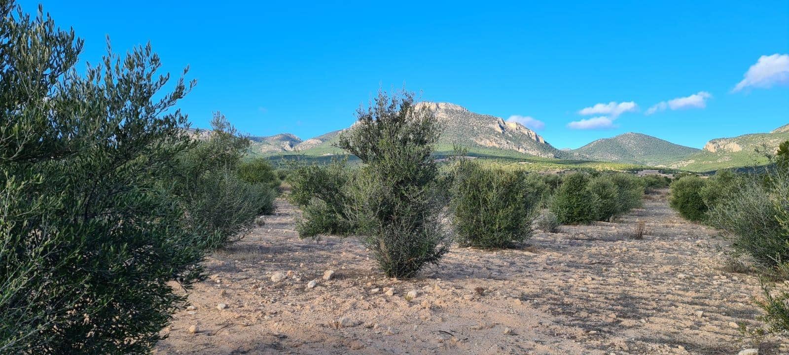 Terreno Non Edificato in vendita in La Parroquia - 21.000 € (Rif: 10089655)