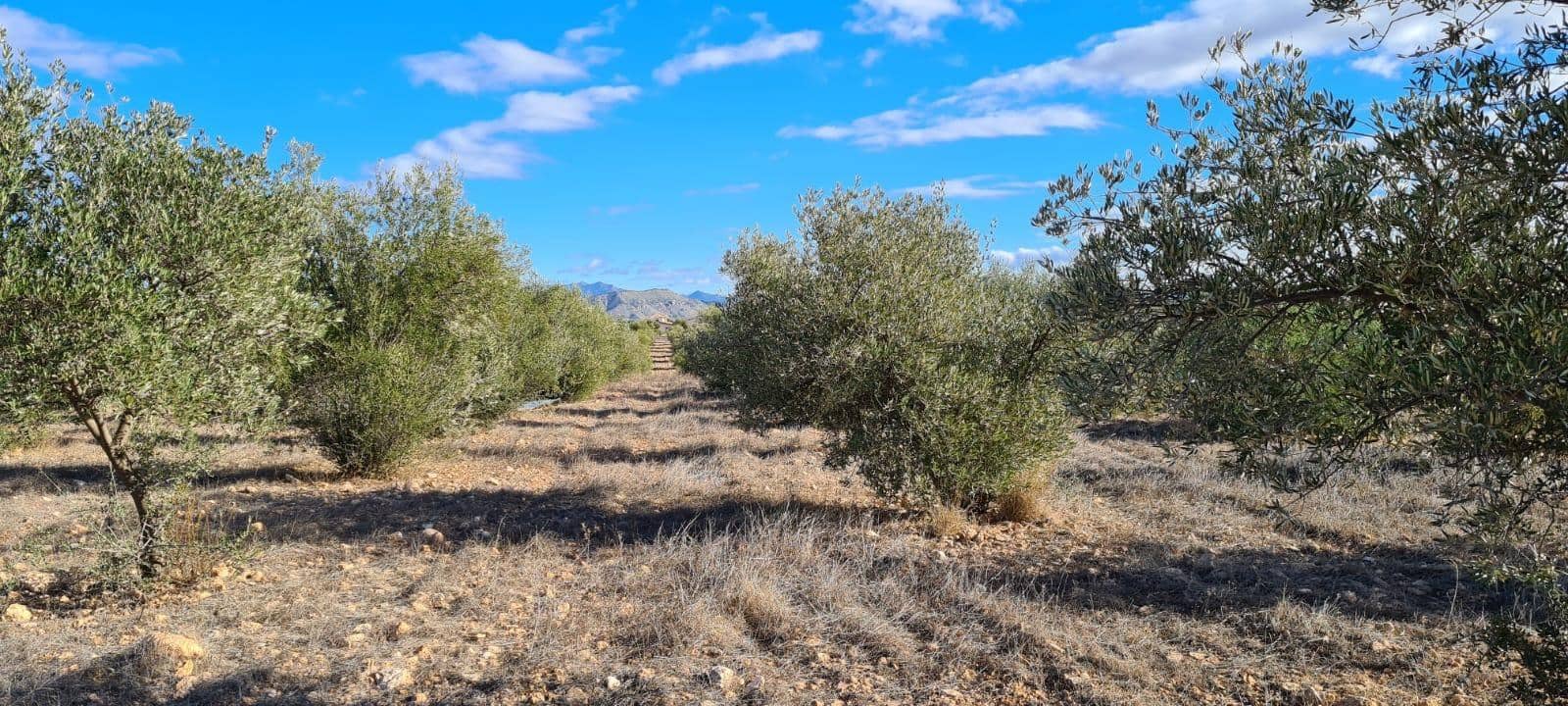Terreno Non Edificato in vendita in La Parroquia - 21.000 € (Rif: 10089655)