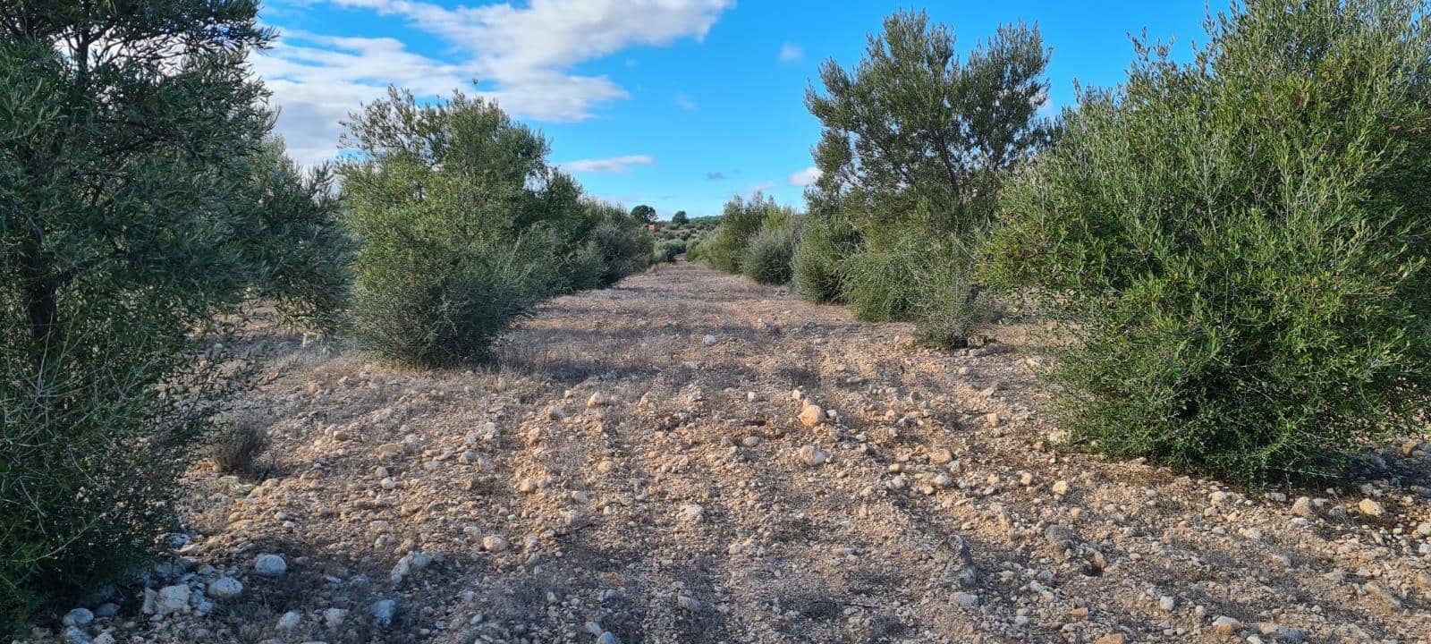 Terreno Non Edificato in vendita in La Parroquia - 21.000 € (Rif: 10089655)
