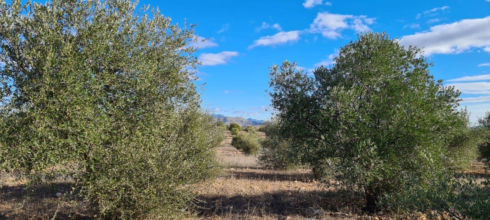 Terreno Non Edificato in vendita in La Parroquia - 21.000 € (Rif: 10089655)