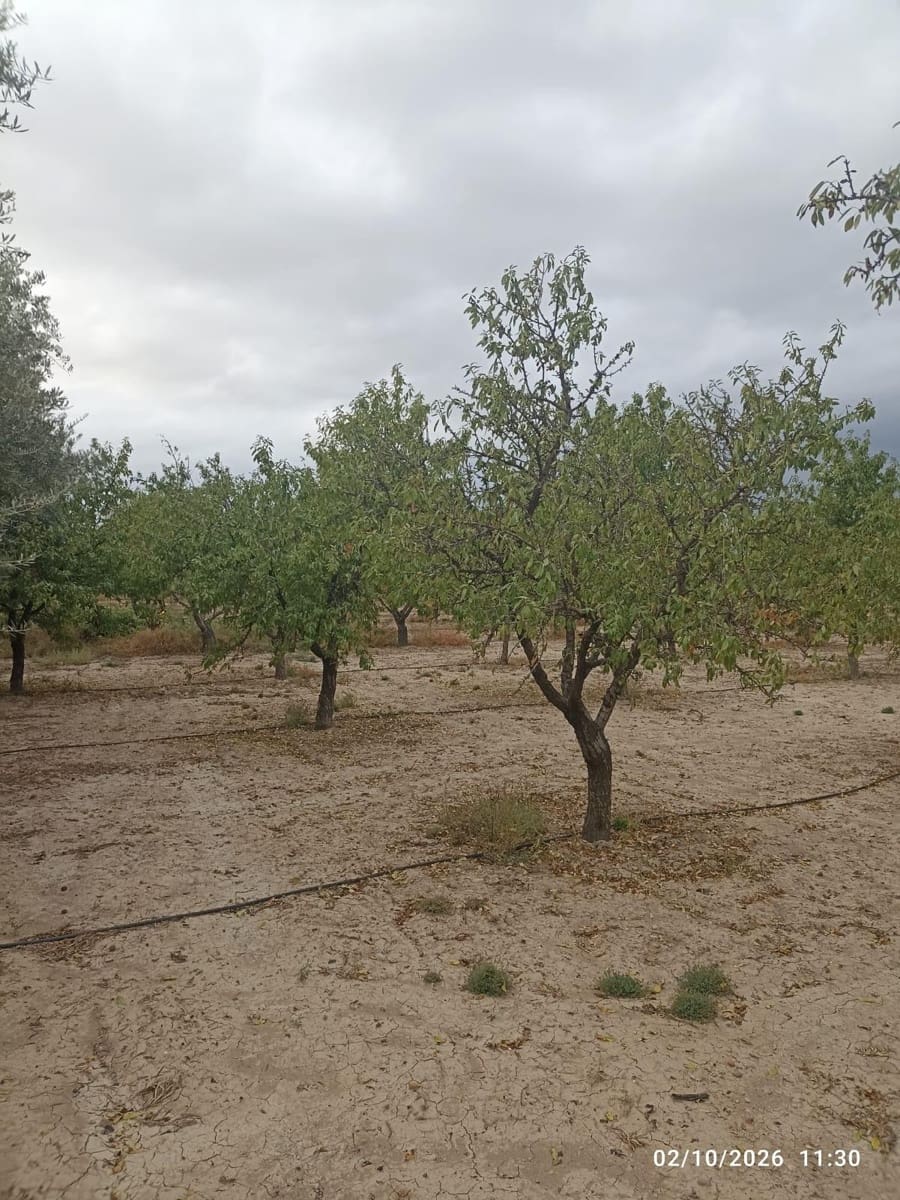 Landgrundstück zu verkaufen in Totana - 17.000 € (Ref: 10147354)