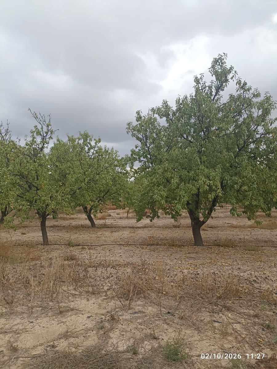 Landgrundstück zu verkaufen in Totana - 17.000 € (Ref: 10147354)
