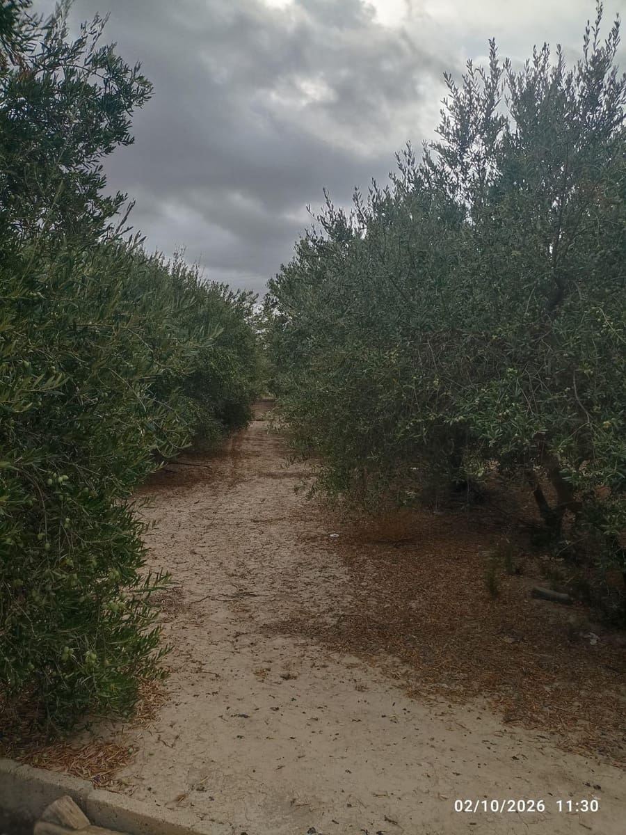 Terreno/Finca Rústica en Totana en venta - 25.000 € (Ref: 10147355)