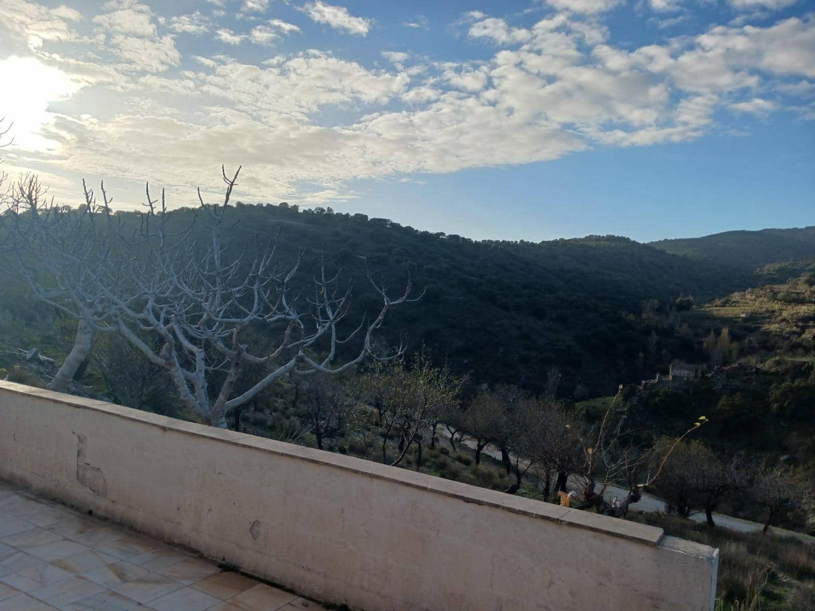 Finca/Casa Rural de 4 habitaciones en Macael en venta - 140.085 € (Ref: 9468681)