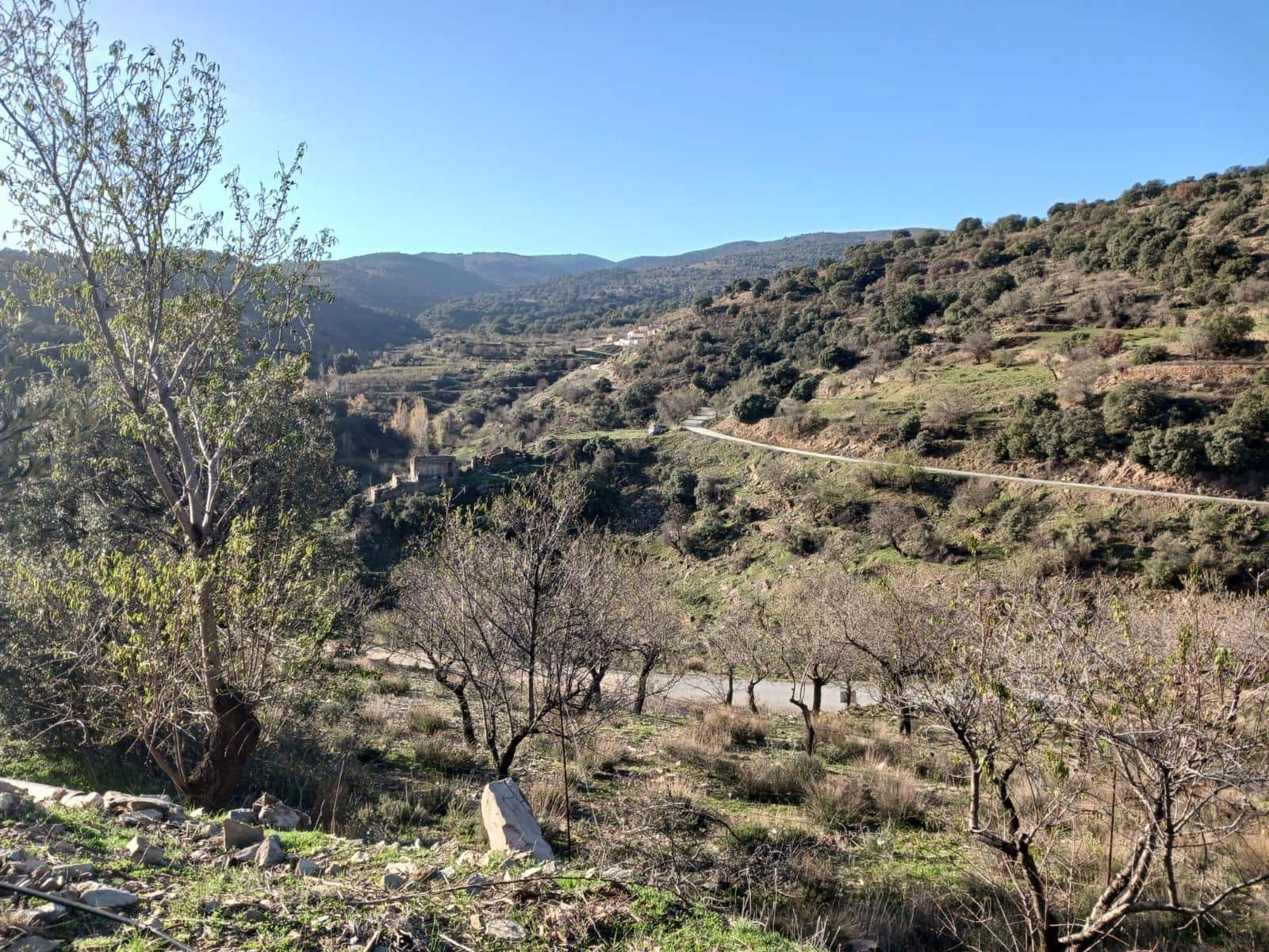Finca/Casa Rural de 4 habitaciones en Macael en venta - 140.085 € (Ref: 9468681)