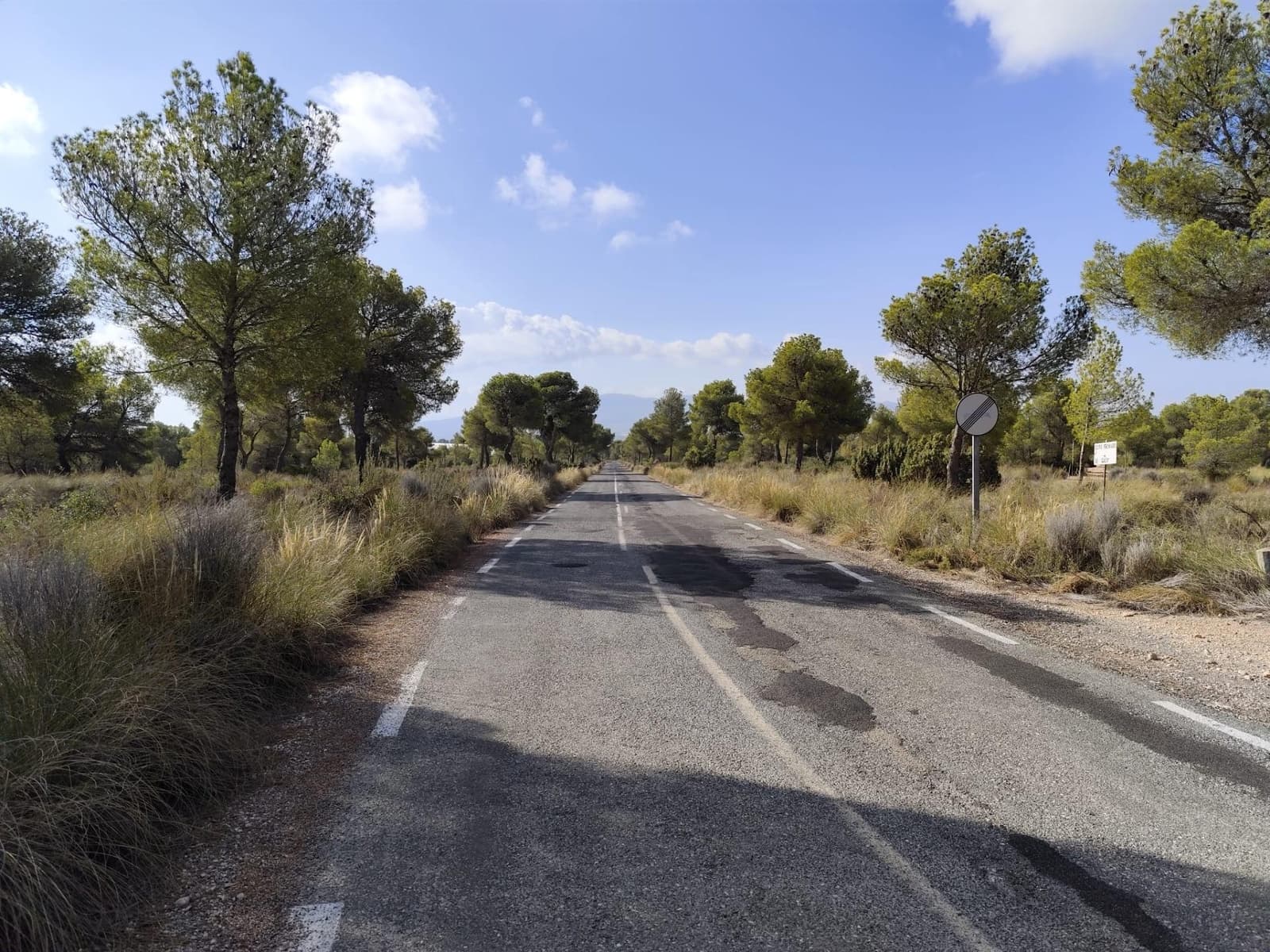 Terre non Aménagée à vendre à Totana - 70 000 € (Ref: 9468682)