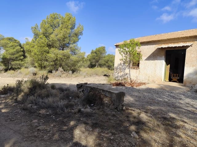 Terre non Aménagée à vendre à Totana - 70 000 € (Ref: 9468682)